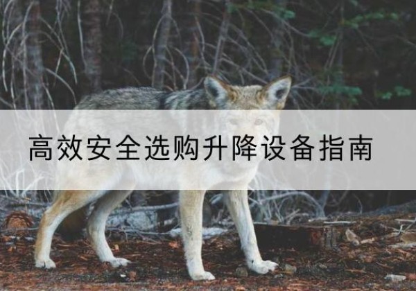 罗江升降货梯厂家推荐-*安全选购升降设备指南