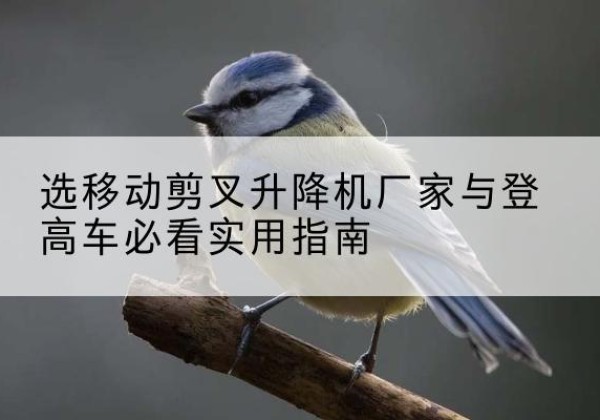 罗江电动升降机厂家-选移动剪叉升降机厂家与登高车必看实用指南