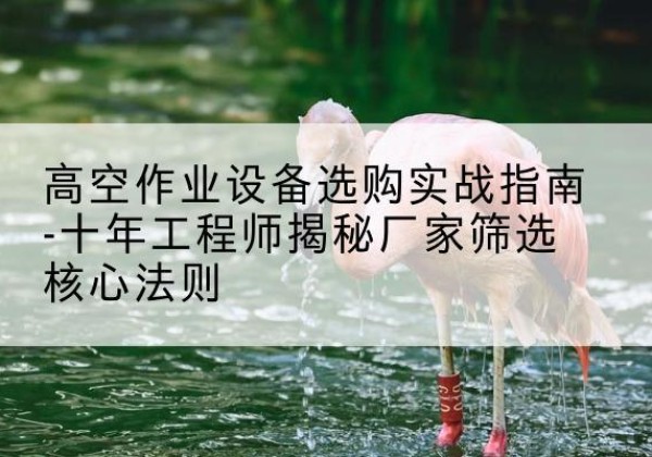 罗江剪叉式升降机厂家-高空作业设备选购实战指南-十年工程师揭秘厂家筛选核心法则